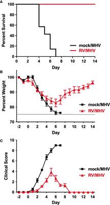 Priming With Rhinovirus Protects Mice Against a Lethal Pulmonary Coronavirus Infection